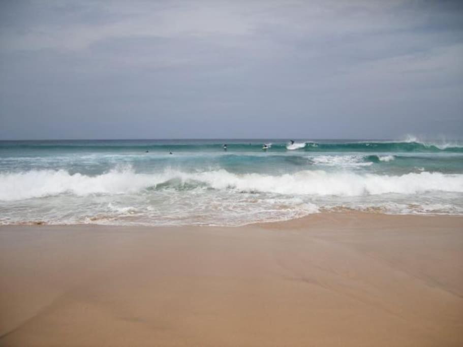 Lovely Villa - Pool Front, Private Roof Terrace, Wifi Fiber Optic Corralejo Exteriör bild